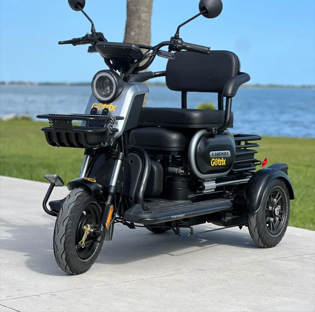 Triciclo Elétrico Gotrix